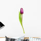Tulip Over White Wall Decal