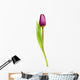 Tulip Over White Wall Decal