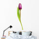 Tulip over White Wall Decal