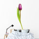 Tulip Over White Wall Decal