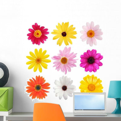 Collection Daisy Flowers Wall Decal Sticker Set shown on a wall