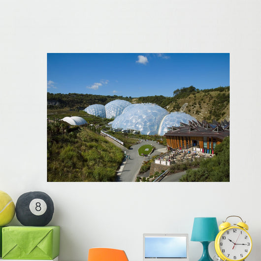 eden project 2006 Wall Mural