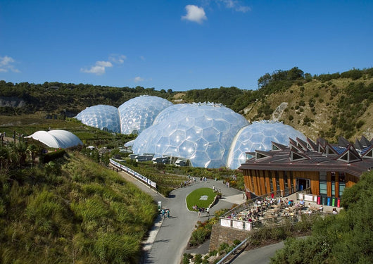eden project 2006 Wall Mural