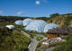 eden project 2006 Wall Mural