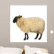 Mouton Suffolk Wall Decal