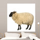 Mouton Suffolk Wall Decal