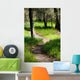 Path Woods