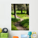 Path Woods