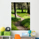 Path Woods