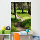 Path Woods
