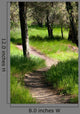 Path Woods