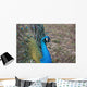 Pfau