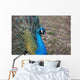 Pfau