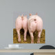 Cochon Wall Decal Design 2