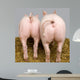 Cochon Wall Decal Design 2
