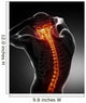 Male Body Cervical Backbone pain scan Wall Mural