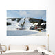 Winter Rest Wall Mural