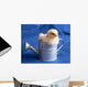 Baby Chick in Watering Can Wall Mural