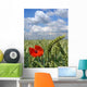 Summer Wall Decal Design 1