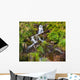 Small Natural Spring Waterfall Wall Mural
