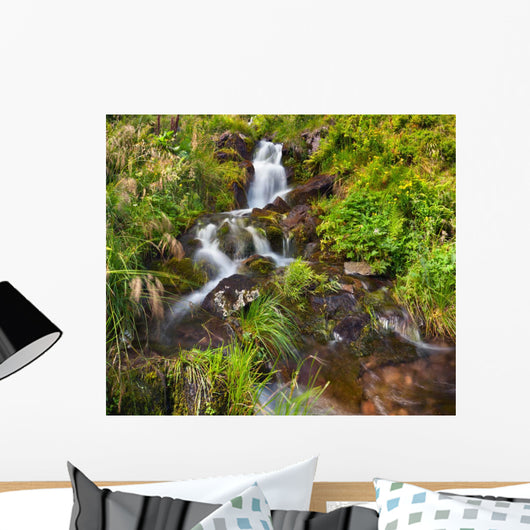 Small Natural Spring Waterfall Wall Mural