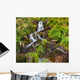 Small Natural Spring Waterfall Wall Mural
