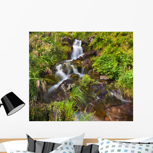 Small Natural Spring Waterfall Wall Mural