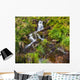 Small Natural Spring Waterfall Wall Mural