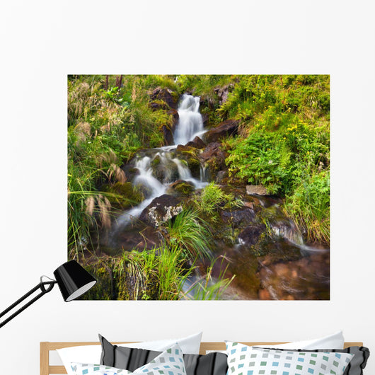 Small Natural Spring Waterfall Wall Mural