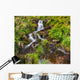 Small Natural Spring Waterfall Wall Mural