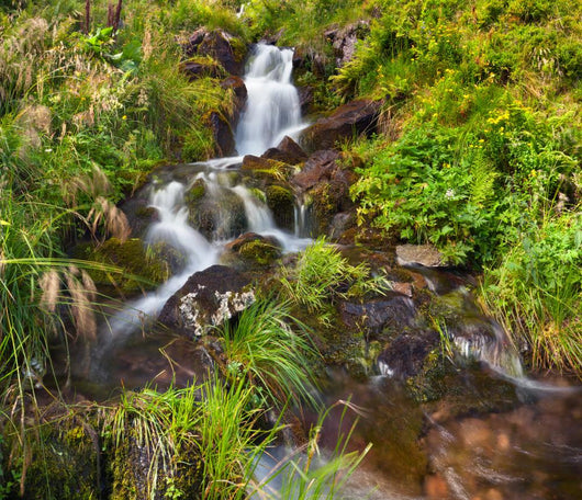 Small Natural Spring Waterfall Wall Mural