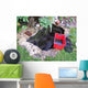 Cleaning Pond Wall Decal