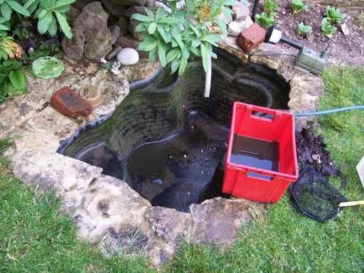 Cleaning Pond Wall Decal