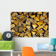 Firewood Stapled Garden