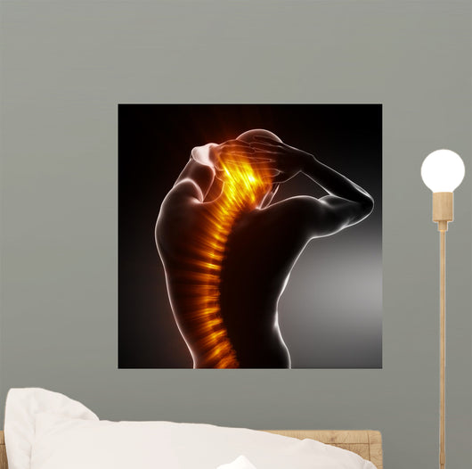 Male Body Backbone Scan Wall Mural