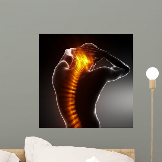 Male Body Backbone Scan Wall Mural