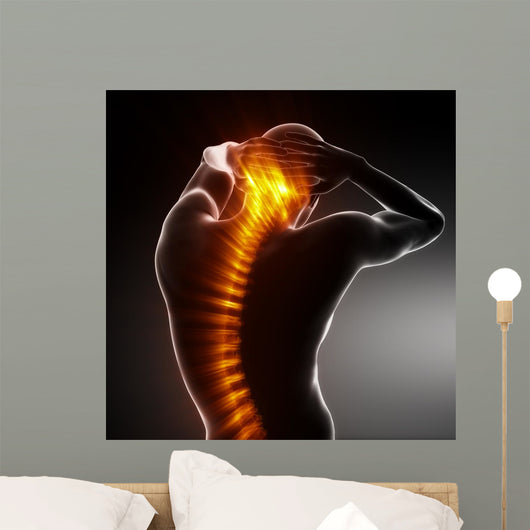 Male Body Backbone Scan Wall Mural