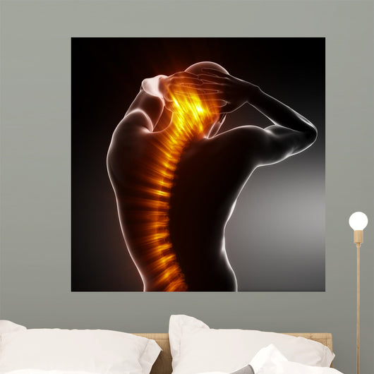 Male Body Backbone Scan Wall Mural