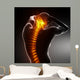 Male Body Backbone Scan Wall Mural
