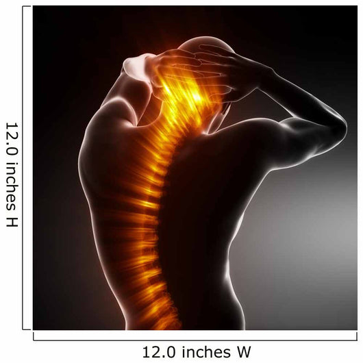 Male Body Backbone Scan Wall Mural