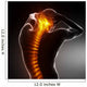 Male Body Backbone Scan Wall Mural