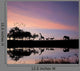 Safari in Africa Wild Animals Wall Mural