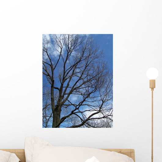 Tree and Blue Sky Wall Mural