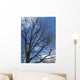 Tree and Blue Sky Wall Mural