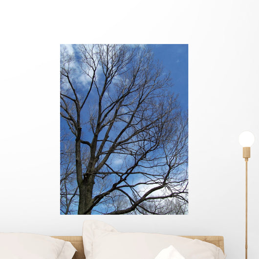 Tree and Blue Sky Wall Mural