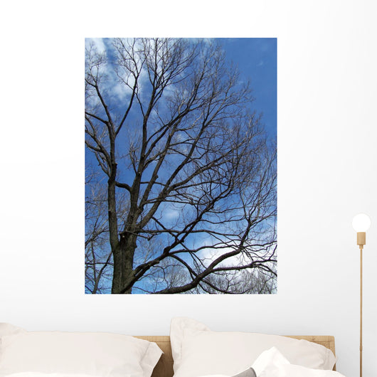 Tree and Blue Sky Wall Mural