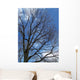 Tree and Blue Sky Wall Mural