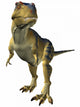Tyrannosaurus Wall Decal