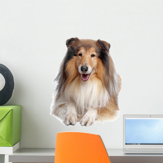 Rough Collie Wall Decal