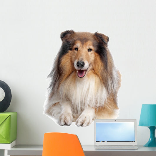 Rough Collie Wall Decal